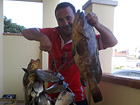 Alessio - 2009