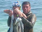 Francesco - 2007